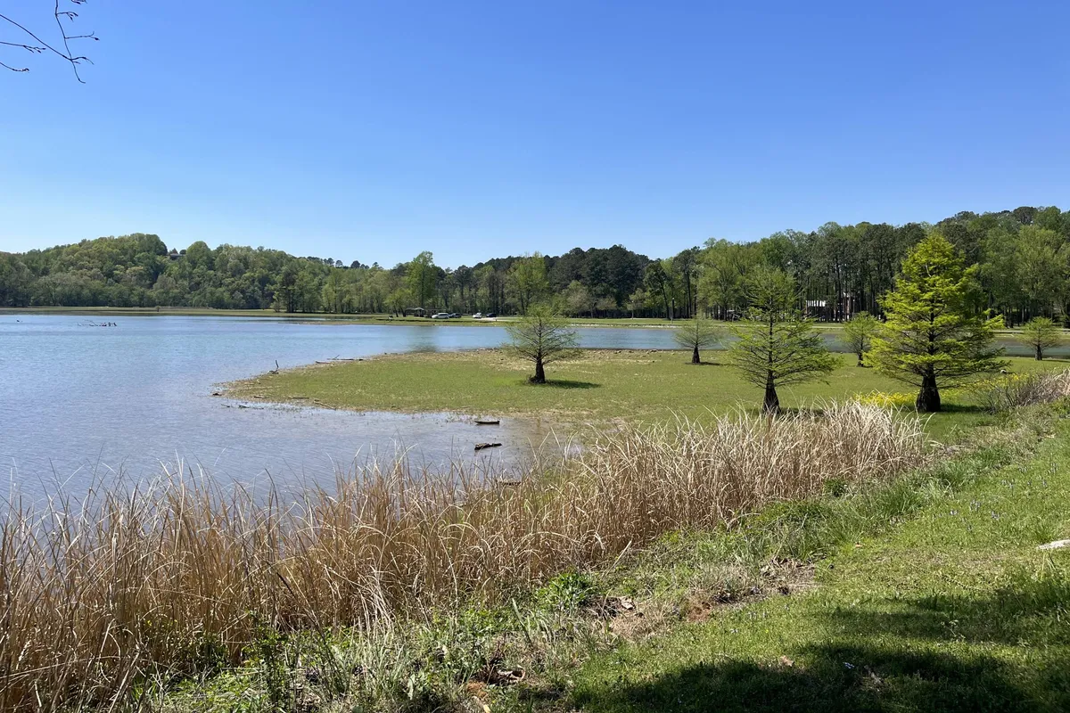 This image showcases an expansive yard with lush green grass leading up to a tranquil water's edge, bordered by a distant tree line and framed by natural shoreline vegetation. The open outdoor space is inviting and serene, ideal for morning strolls or playful exploration with pets.