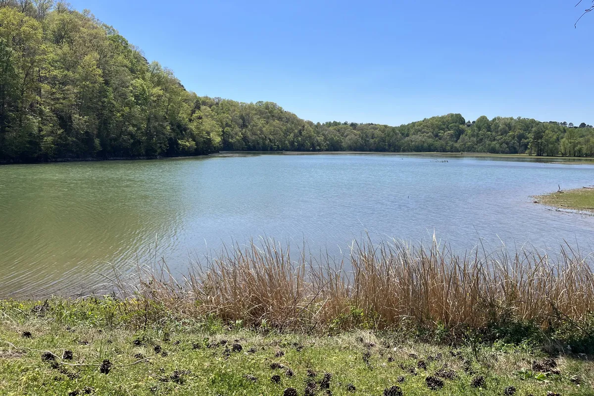 A serene lake view framed by surrounding greenery and distant trees, creating a sense of connection to nature. The calm water and open space evoke the tranquility of local natural attractions accessible from the property.